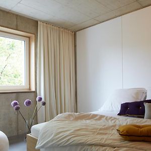 Studio met een Queen Size Bed